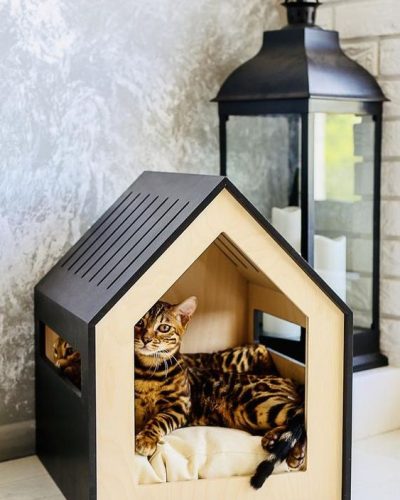 Cat House