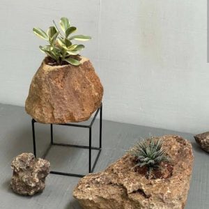 Planters